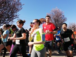 mini_ekiden-mars-2019-5c99efc7169b8.jpg