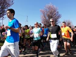 mini_ekiden-mars-2019-5c99efe2319c6.jpg