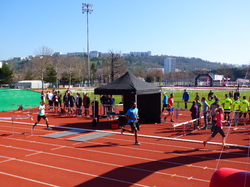 mini_ekiden-mars-2019-5c99f4fc98789.jpg