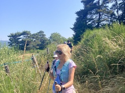 Illustration de la galerie