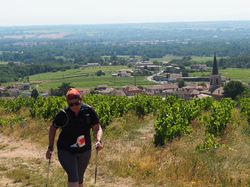 mini_walk-n-b-mn-en-beaujolais-2023-649973d2798b5.jpg